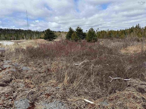 7 Highway, Ecum Secum, NS 