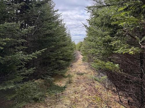 7 Highway, Ecum Secum, NS 