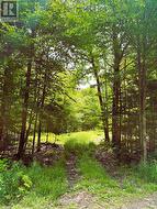 0 PEPLINSKIE ROAD Madawaska Valley, ON K0J 1L0