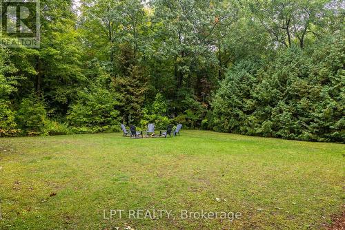 Expansive & Private Property! - 34 Staglir Drive, Tiny, ON - Outdoor