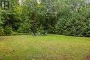 Expansive & Private Property! - 34 Staglir Drive, Tiny, ON  - Outdoor 