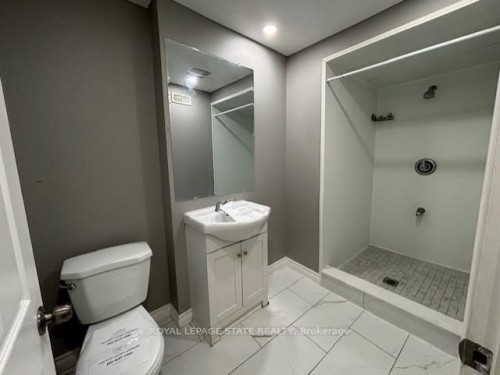 45 Thames Way, Hamilton, ON - Indoor Photo Showing Bathroom