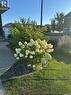 4301 Green Poplar Lane, Regina, SK  - Outdoor With View 