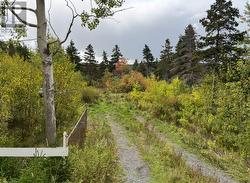 48-50 East Highway Victoria, NL A0A 3B0