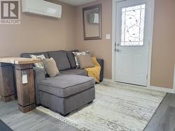 Pull out couch for guests - 