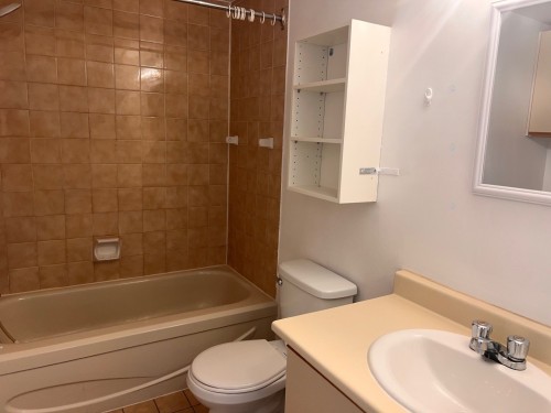 Salle de bains - 8-79 Boul. Jean-Paul-Vincent, Longueuil (Le Vieux-Longueuil), QC - Indoor Photo Showing Bathroom