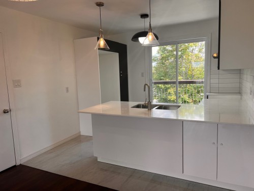 Cuisine - 8-79 Boul. Jean-Paul-Vincent, Longueuil (Le Vieux-Longueuil), QC - Indoor Photo Showing Kitchen With Double Sink