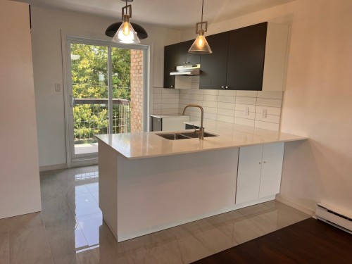 Cuisine - 8-79 Boul. Jean-Paul-Vincent, Longueuil (Le Vieux-Longueuil), QC - Indoor Photo Showing Kitchen With Double Sink