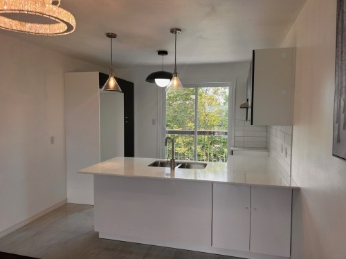 Cuisine - 8-79 Boul. Jean-Paul-Vincent, Longueuil (Le Vieux-Longueuil), QC - Indoor Photo Showing Kitchen With Double Sink