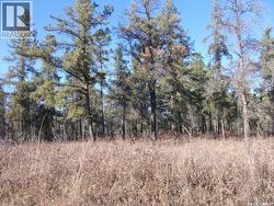 5-3 lot 1.20 Acres Hudson Bay Rm No. 394, SK S0E 0Y0