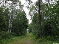3-3 lot 1.20 acre  Hudson Bay Rm No. 394, SK S0E 0Y0