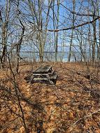 Lot Cox Point RD Cumberland Bay, NB E4A 2Y5