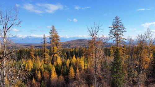 829 Deer Run Drive, Kimberley, BC - Outdoor With View