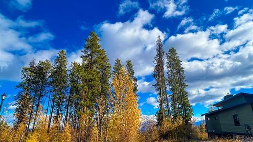 829 Deer Run Drive, Kimberley, BC - Outdoor With View