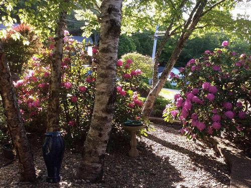 22 Wedgewood Avenue, Halifax, NS 