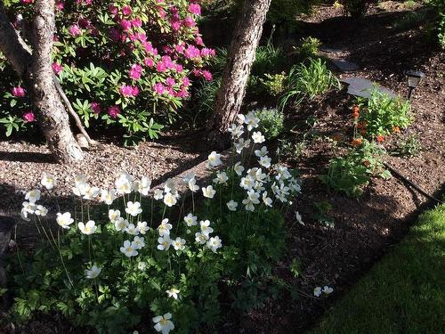 22 Wedgewood Avenue, Halifax, NS 