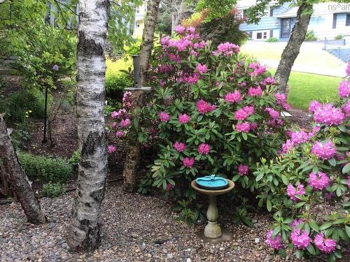 22 Wedgewood Avenue, Halifax, NS 