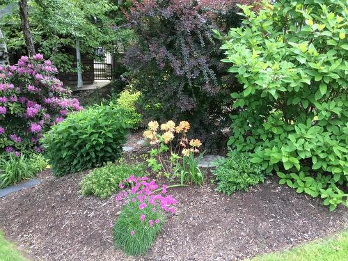 22 Wedgewood Avenue, Halifax, NS 