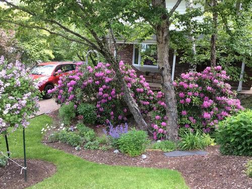 22 Wedgewood Avenue, Halifax, NS 