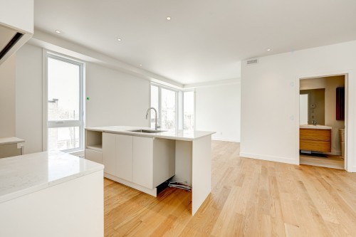 Cuisine - 1122 Rue De Bellechasse, Montréal (Rosemont/La Petite-Patrie), QC - Indoor Photo Showing Kitchen