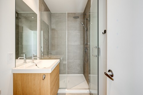 Salle de bains - 1122 Rue De Bellechasse, Montréal (Rosemont/La Petite-Patrie), QC - Indoor Photo Showing Bathroom