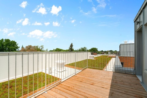 Terrasse - 1122 Rue De Bellechasse, Montréal (Rosemont/La Petite-Patrie), QC - Outdoor With Exterior