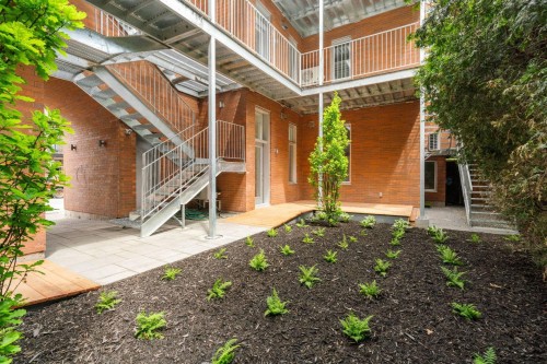 Cour - 1122 Rue De Bellechasse, Montréal (Rosemont/La Petite-Patrie), QC - Outdoor