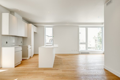 Cuisine - 1122 Rue De Bellechasse, Montréal (Rosemont/La Petite-Patrie), QC - Indoor Photo Showing Kitchen