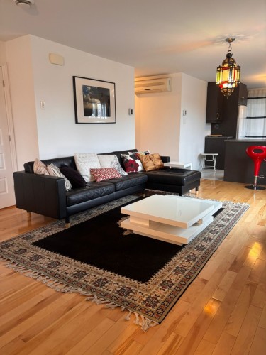 Living Room - 1144 Rue St-Edouard, Longueuil (Le Vieux-Longueuil), QC - Indoor Photo Showing Living Room