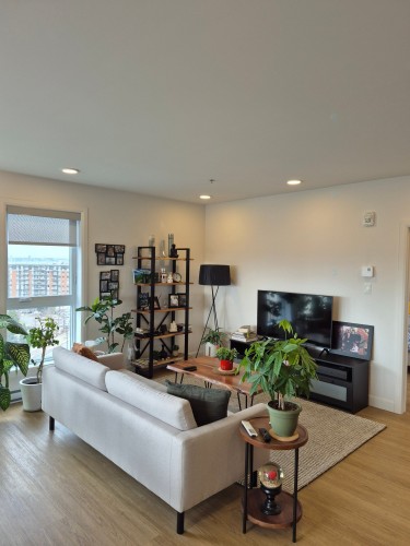 Living Room - 909-8355 Boul. St-Laurent, Brossard, QC - Indoor Photo Showing Living Room