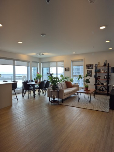Overall view - 909-8355 Boul. St-Laurent, Brossard, QC - Indoor Photo Showing Living Room