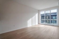 Living Room - 