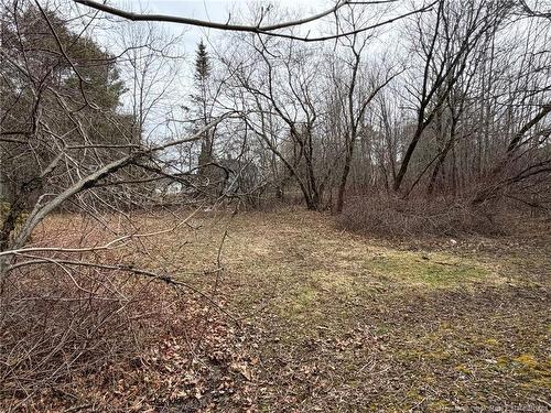 19 Pine St, Saint Stephen, NB 