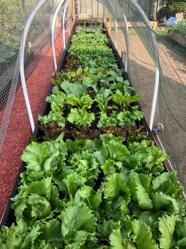 6943 Estoril Road, Mississauga, ON - Outdoor