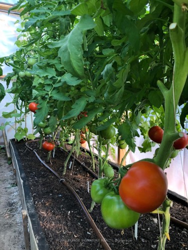 6943 Estoril Road, Mississauga, ON - Outdoor