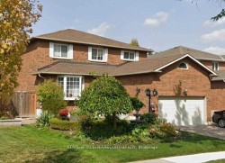 Basement Unit #2-37 Crystal Drive  Richmond Hill, ON L4C 7Y5