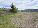 Cabot Trail, Point Cross, NS 