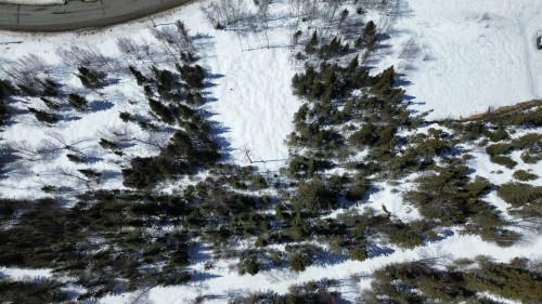 Autre - 1092 Ch. Du Lac-Arthur S., Amos, QC 