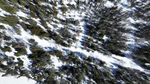 Autre - 1092 Ch. Du Lac-Arthur S., Amos, QC 