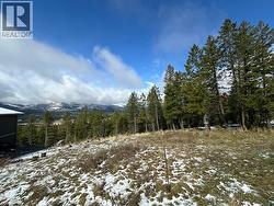 4785 Mountain View Road Fairmont Hot Springs, BC V0B 1L1