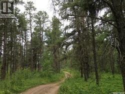 1-3 lot 1.75 acre  Hudson Bay Rm No. 394, SK S0E 0Y0