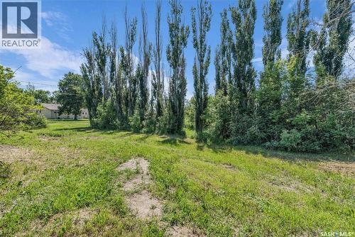 402 Alexander Street, Radisson, SK - Outdoor With View