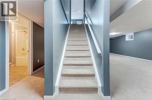50 Cranbrook Street, Kitchener, ON - Indoor Photo Showing Other Room