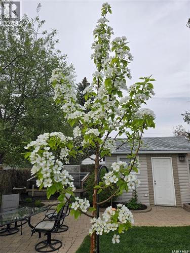 12 Secord Place, Regina, SK - Outdoor