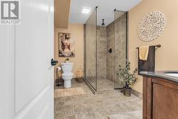 lower level bathroom - 