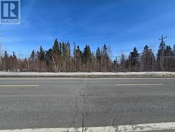 414 GRENFELL Heights Grand Falls Windsor, NL A2A 2J2