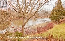 Overlooking Cobourg Creek - 