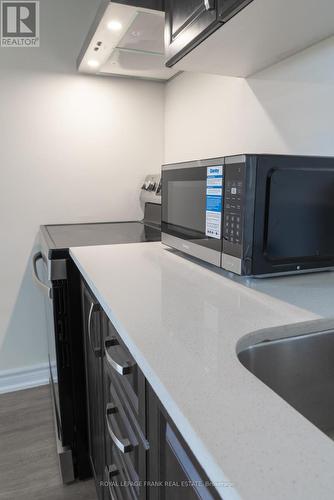 3 - 88 MARY STREET W , Kawartha Lakes (Lindsay), Ontario K9V 5G3 2