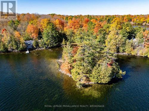 411 INDIAN LAKE ROAD  Rideau Lakes, ON K0G 1E0