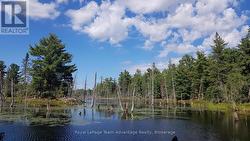 0 UNOPENED ROAD ALLOWANCE ROAD  Mckellar, ON P2A 2W7